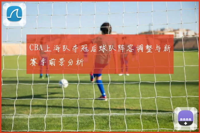 CBA上海队夺冠后球队阵容调整与新赛季前景分析